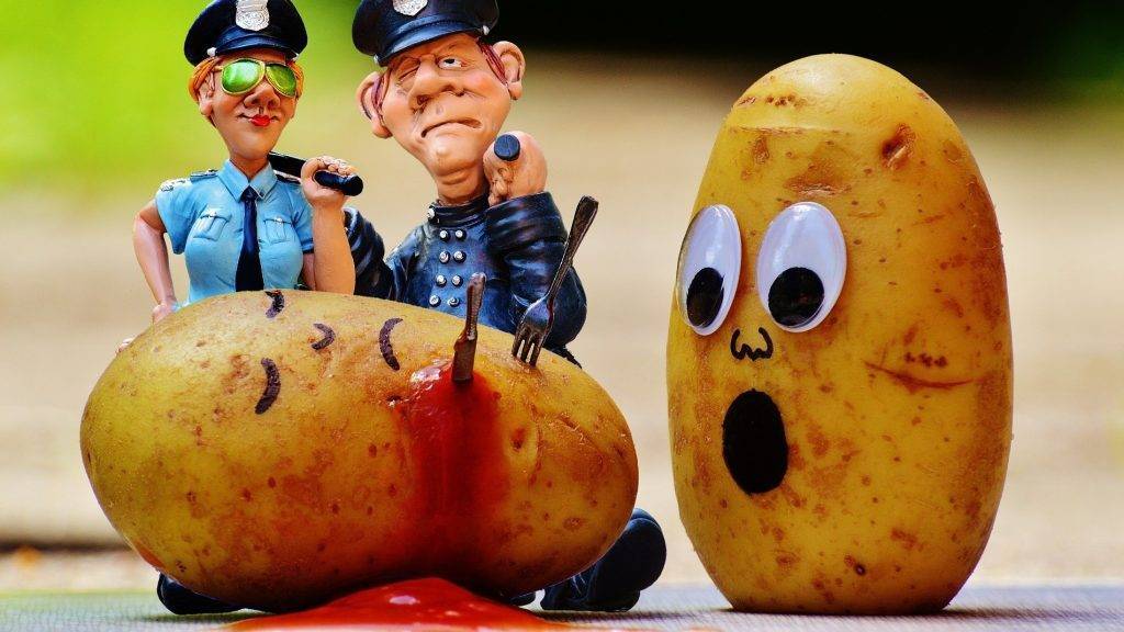 potatoes-industria|21670_modal|french-fries-218205_960_720